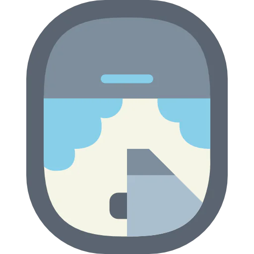 Window icon