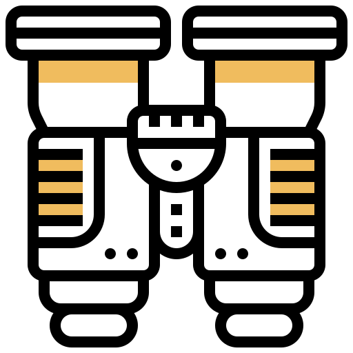 Binoculars icon