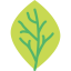 Leaf icon 64x64