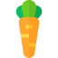 Carrot ícone 64x64