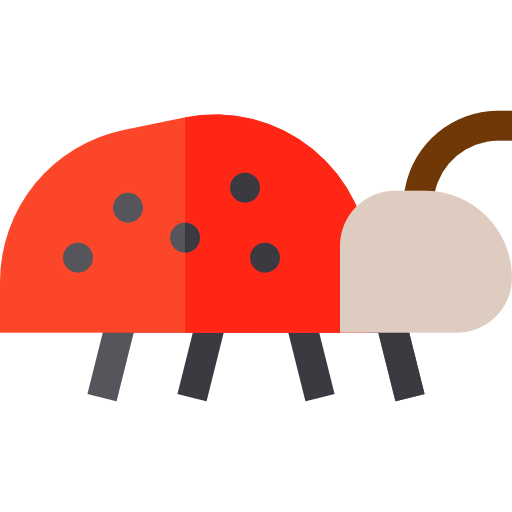 Ladybug icon