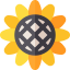 Sunflower ícone 64x64