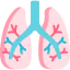 Lungs icon 64x64