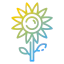 Sunflower icon 64x64
