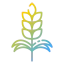 Wheat icon 64x64