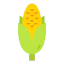 Corn icon 64x64