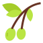Olive icon 64x64