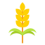 Wheat icon 64x64