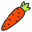 Carrot 图标 64x64