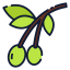 Olive 图标 64x64