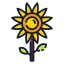 Sunflower icon 64x64