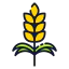 Wheat icon 64x64