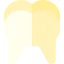 Tooth 상 64x64