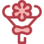Bouquet icon 64x64