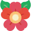 Flower icon 64x64
