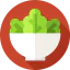 Salad ícono 64x64