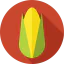 Corn ícono 64x64