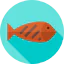 Fish ícono 64x64
