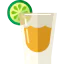 Tequila icon 64x64