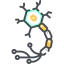 Neuron icon 64x64