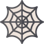 Cobweb icon 64x64