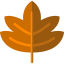 Maple leaf icon 64x64