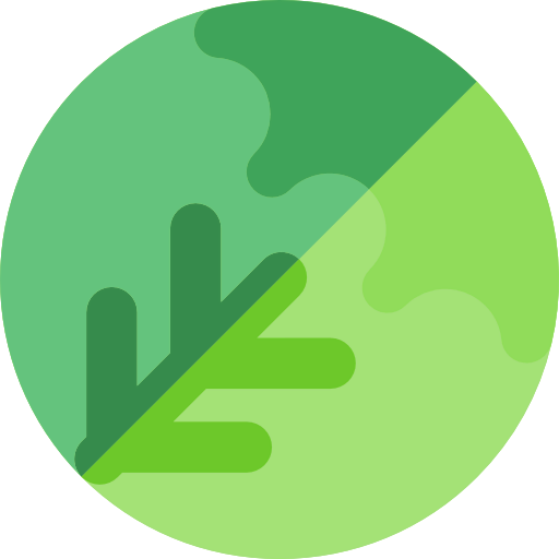 Cabbage icon