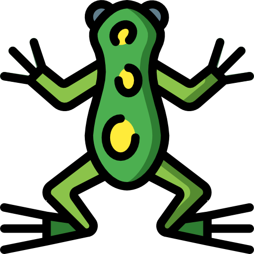 Frog icon
