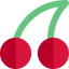 Cherry icon 64x64