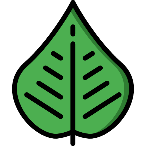 Leaf icon