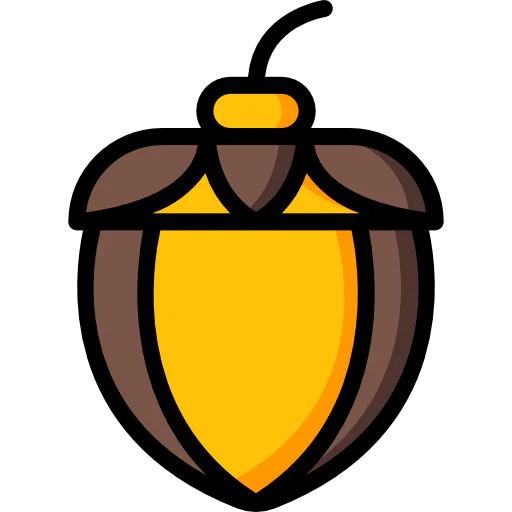 Acorn 상