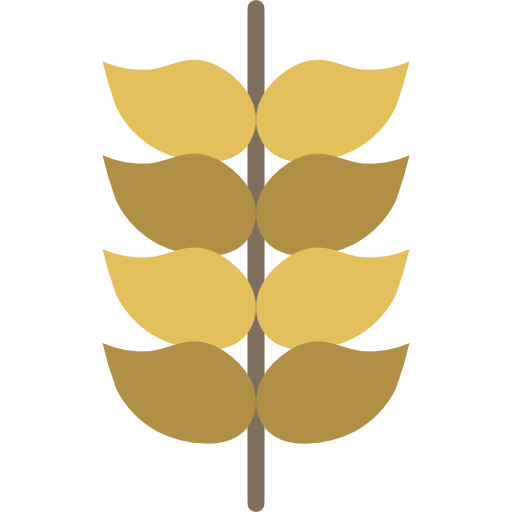 Wheat 상