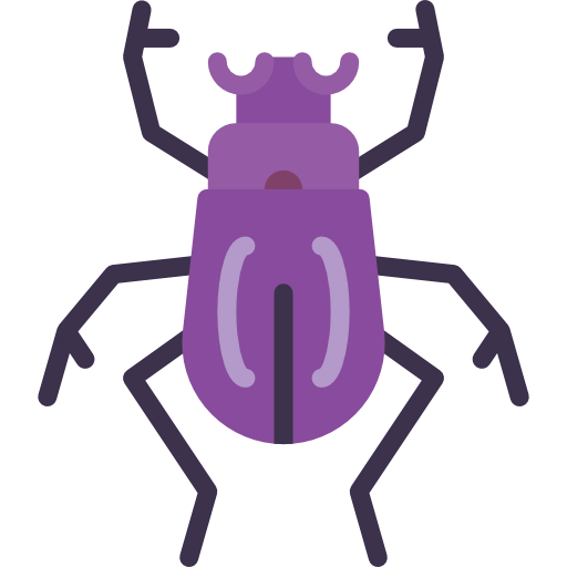 Beetle icon