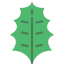 Leaf ícono 64x64