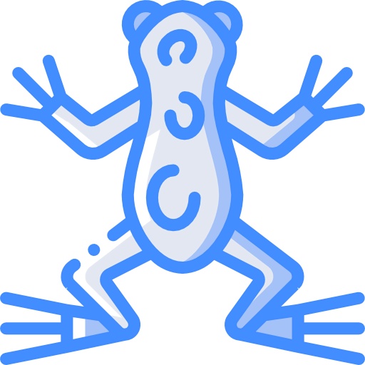 Frog icon