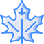 Leaf icon 64x64