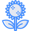 Sunflower icon 64x64