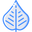 Leaf icon 64x64