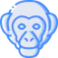 Monkey icon 64x64