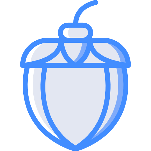 Acorn icon