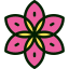 Flower icon 64x64