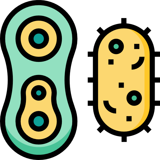 Bacteria icon