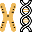 Chromosome アイコン 64x64