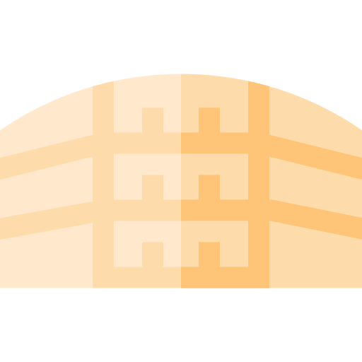 Pula arena icon