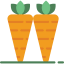 Carrots icon 64x64