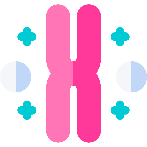 Chromosome Ikona