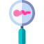 Reproductive icon 64x64