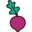 Radish icon 64x64