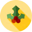 Mistletoe icon 64x64