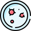 Petri dish icon 64x64